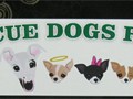 New Rescue Dogs Rock Bumper Stickers are Here!